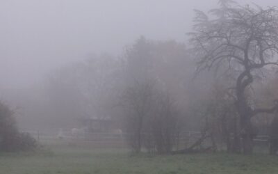 Ein leiser Monat – Monatsrückblick November 2025