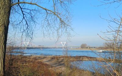 Monatsrückblick Januar 2026 : Wie sich ein nüchternes Leben rund anfühlt