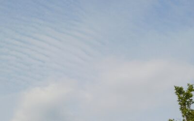 Heute – 17. April 2026 – Cirrostratus