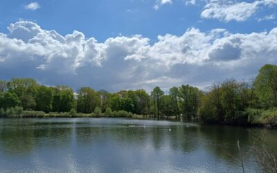 Nüchtern 2011, heute – und der Zweifel