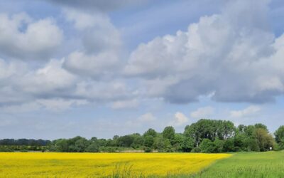 Monatsrückblick April 2026 – Was weiter wächst