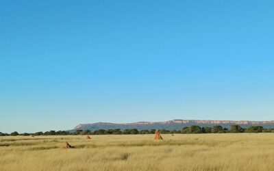Welch eine Frechheit, Namibia!