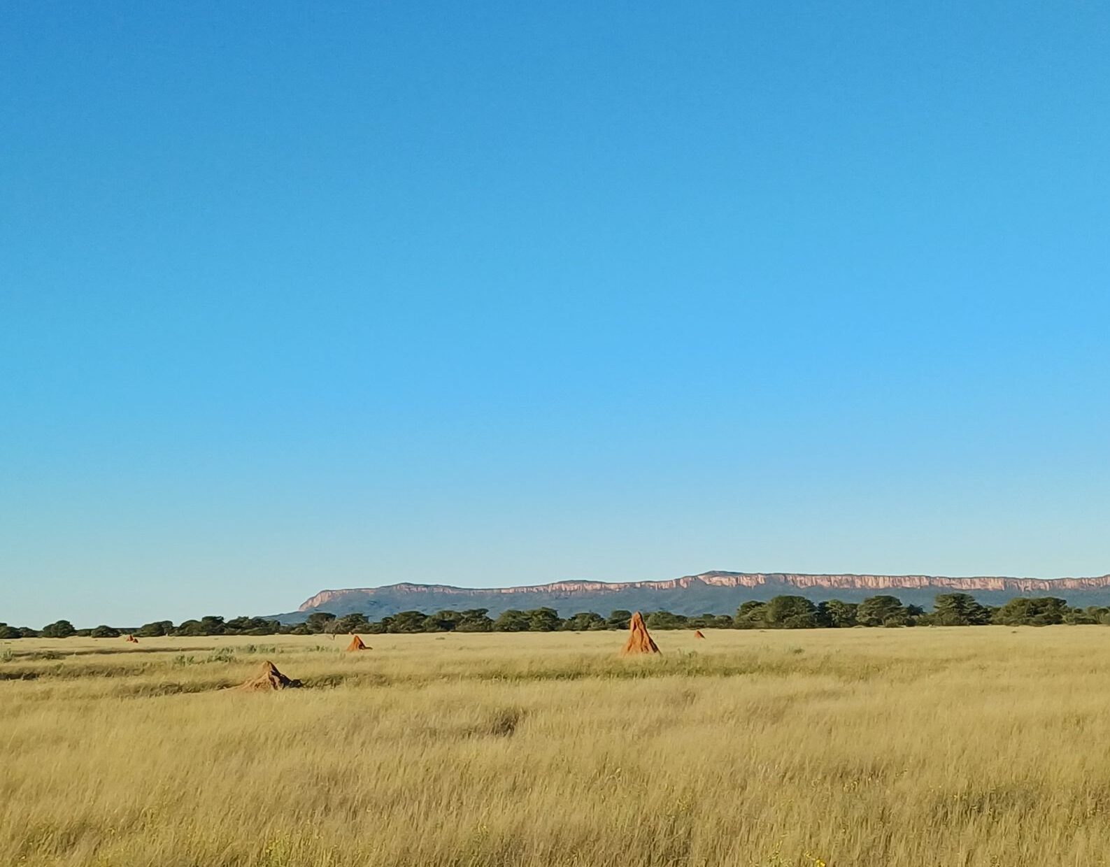 Waterberg_Titelbild_optimiert