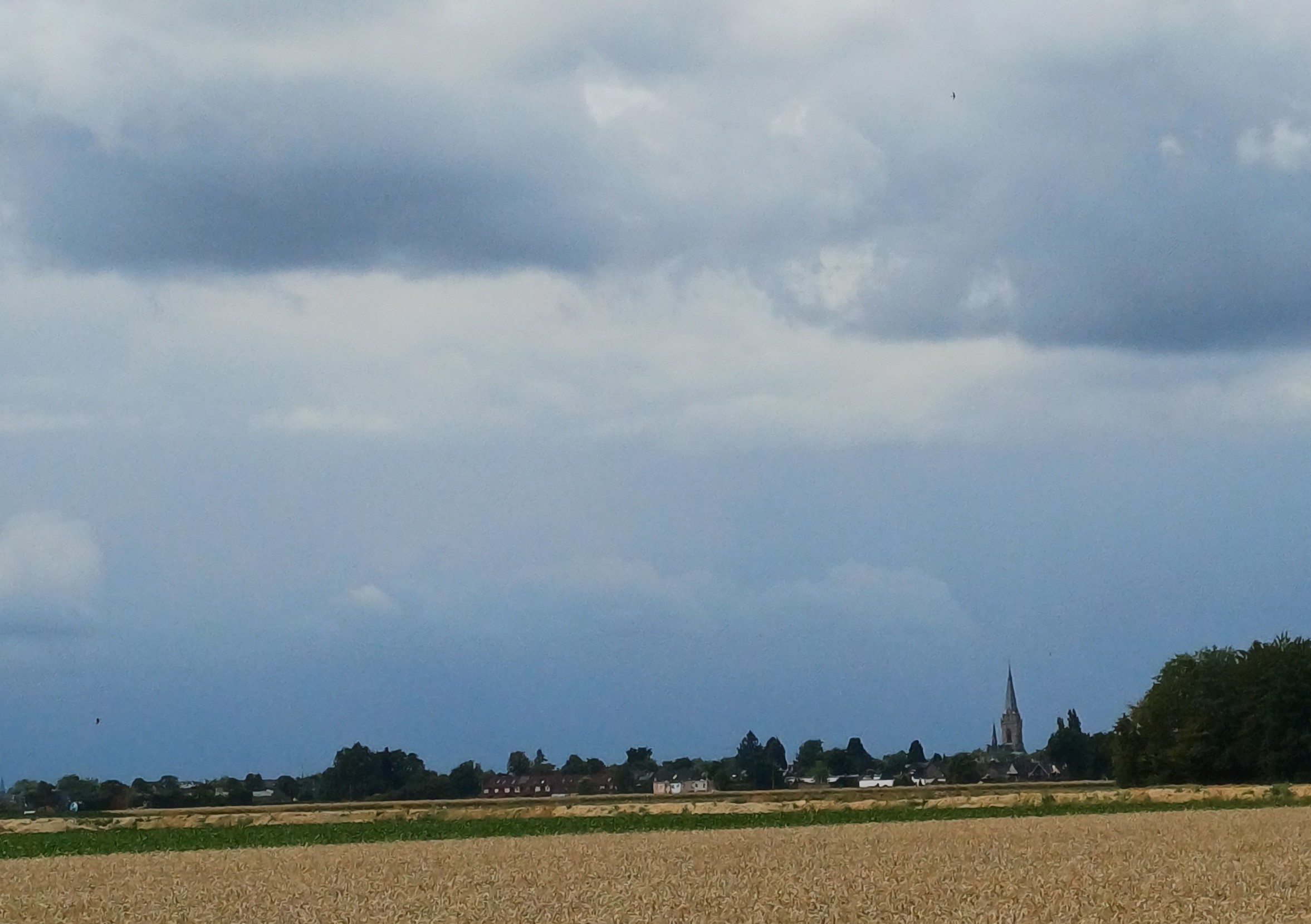 Landschaf