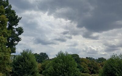 06.08.2026 Stratocumulus