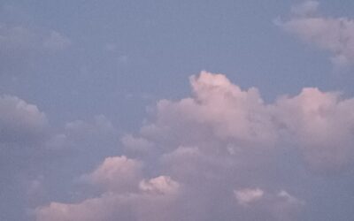 Heute – 15.08.2026 Cumulus-Wolken