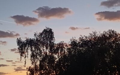 26.09.2026 –  Altocumulus-Wolken